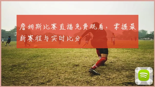 詹姆斯比赛直播免费观看,掌握最新赛程与实时比分
